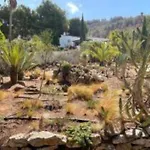 Alcazar *