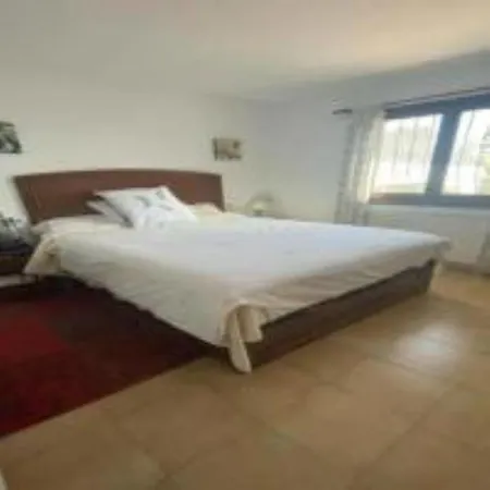 Alcazar Villa