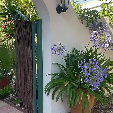 Alcazar Villa