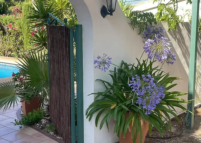 Alcazar Villa